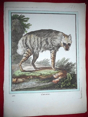 171 gravure xviiie histoire - ,