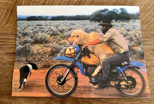 Photo ancienne moto n245 - ancienne,