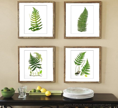 Botanical fern prints green - prints,