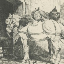 Nicolas Sicard Chevaux au repos Cheval - Eau forte originale XIXe