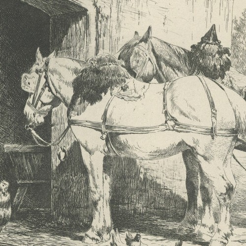 Nicolas sicard chevaux - sicard, au