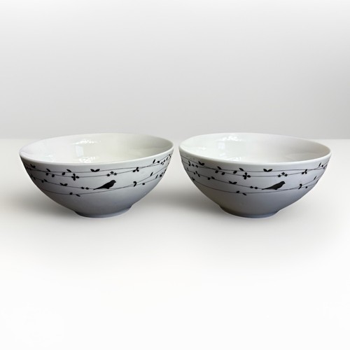 Lot ciroa oiseau birds on - ciroa,