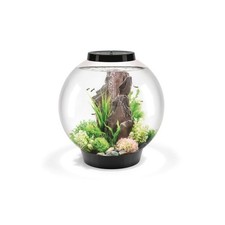 Oase biOrb CLASSIC 60 MCR noir