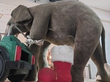 Éléphant Géant Grandeur