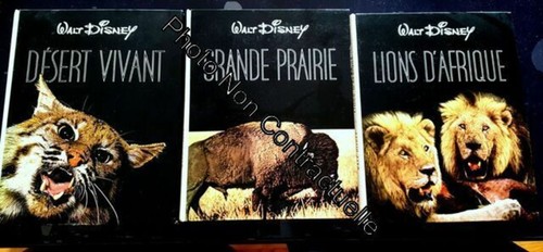 Collection walt disney désert - collection,