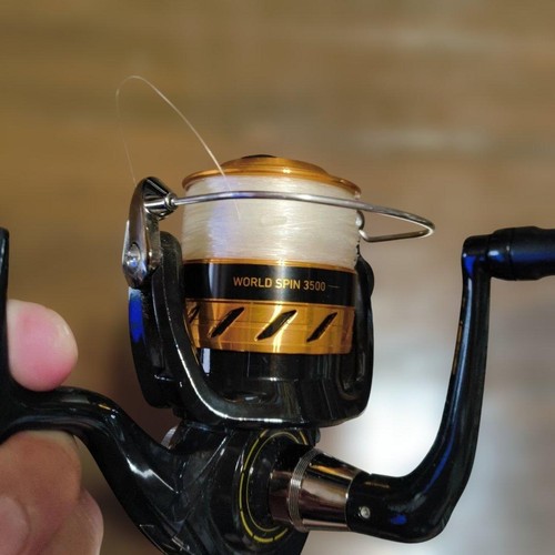 Moulinet pêche daiwa - de, world