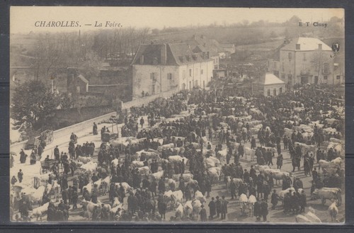 Saone loire charolles - et,