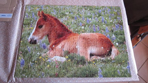 Puzzles poulain chaton - poulain, et
