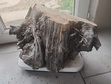 Bois d'olivier Provence N°X17