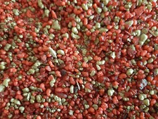 ENCENS SAINT EXPEDIT  - 50