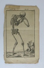 SQUELETTE, homme debout