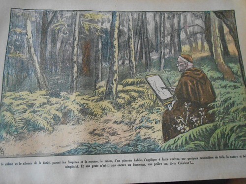 Moine dans une - , forêt
