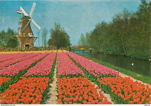 Carte postale moulin à - -,