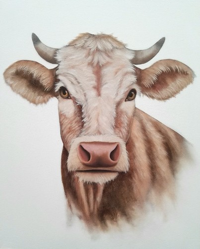 Peinture vache huile sur - peinture,,