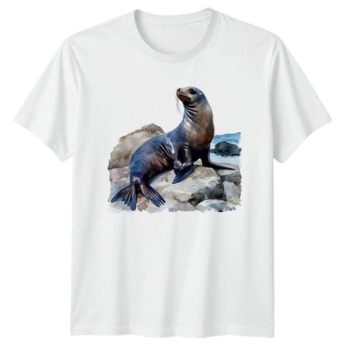 Sea lion marine - sea,