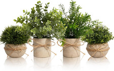 4 Pièces Plantes