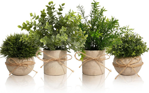 Pièces plantes - pièces,