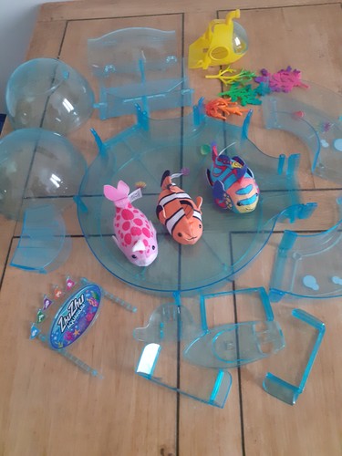 Zhu pets - aquarium,
