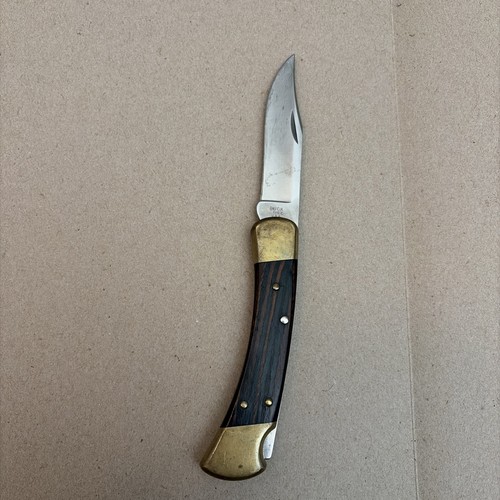 Buck folding hunter 110 - buck,