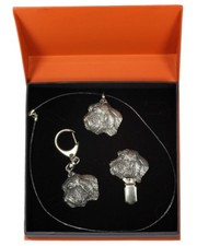 Grand Basset Griffon Vendéen