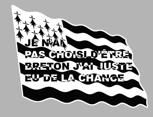 Drapeau breizh breton - breton, chance