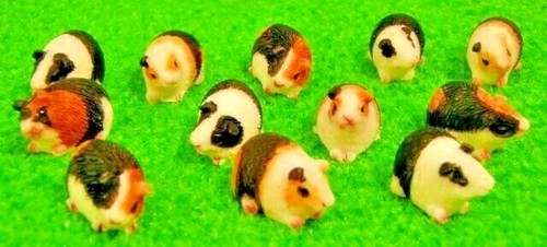 Set miniature cochon inde - cochon, d'inde
