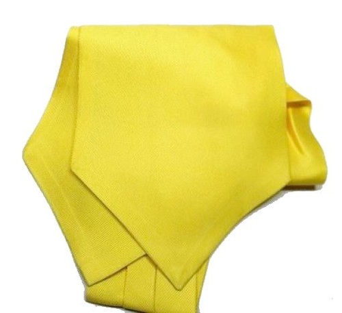 Ascot homme jaune couleur - ascot, unie
