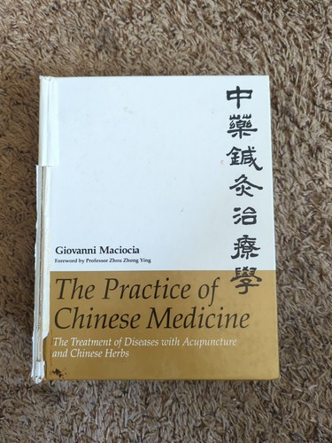 The practice chinese - the,
