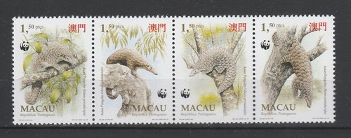 Thr wwf macau nature - wwf,