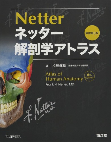 Atlas anatomie netter 6e - netter,,
