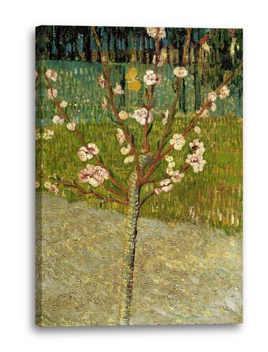 Toile cadres vincent - vincent, van