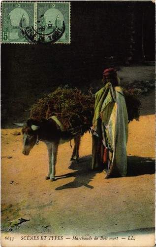 Cpa algeria scenes types - algeria,
