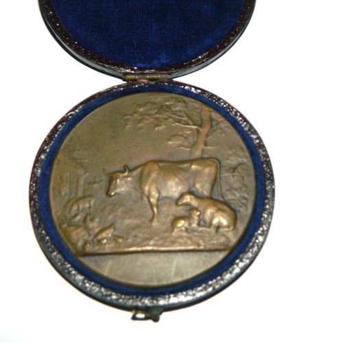 Superbe médaille bronze - médaille,