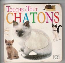 Touche à tout Chatons