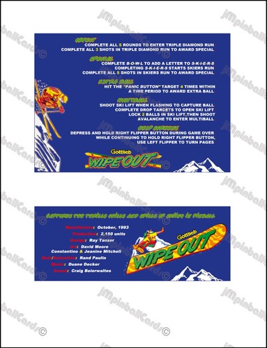 Gottlieb wipe out 1993 - gottlieb, cartes