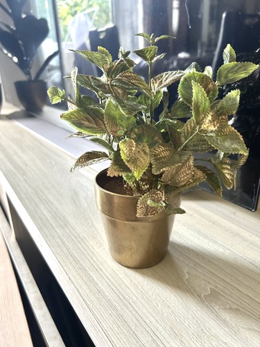 Plante artificielle - plante,