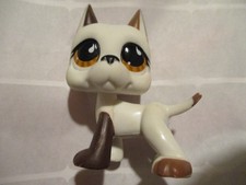 Petshop Chien Dogue Argentin #750 / Avec Aimant