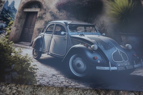 Plaque metal 2 cv - cv,