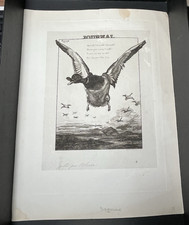 BRACQUEMONT FELIX  Eau Forte Originale  JOURNAL (Le CANARD) 1856 GRAVURE ESTAMPE
