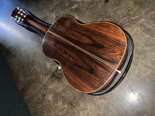 Giannini awn100 vintage - giannini,
