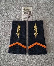 Paire de fourreaux d'épaule