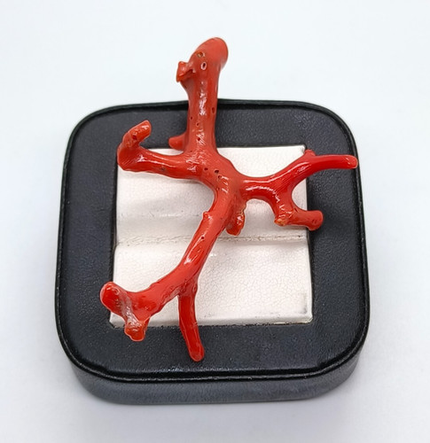 Ancienne branche corail - branche, de