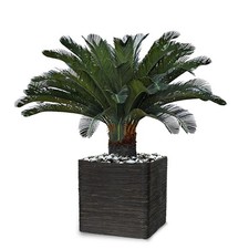 Palmier Cycas artificiel sur