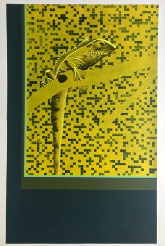 Gilles aillaud iguane - iguane,, 1974