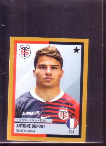 Sticker panini rugby - panini,