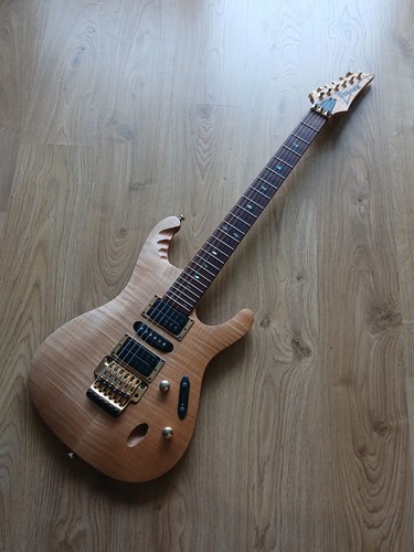 Guitare ibanez egen - ibanez, egen-8