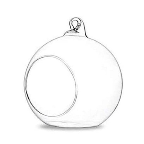 Verre suspendu terrarium - verre,