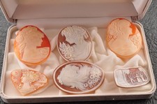 6 articles, camée coquille