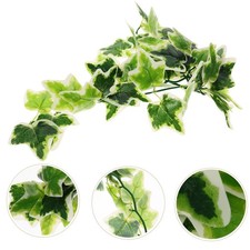  Habitat amphibie décoratif