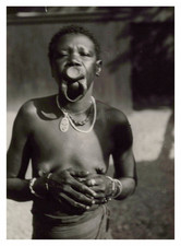 Zoo humain, Exposition